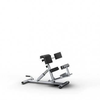 Скамья для гиперэкстензии Proxomed Compass MTT Trunk Trainer Combi в Нижнем Новгороде