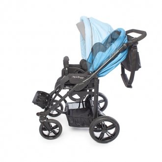 Детская прогулочная коляска ДЦП Liwcare Modi Buggy на раме Rico в Нижнем Новгороде