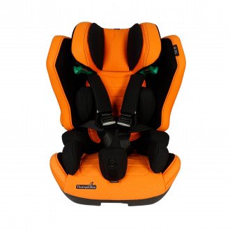 Детское автомобильное кресло ДЦП Thomashilfen RECARO Axion 1 Reha в Нижнем Новгороде