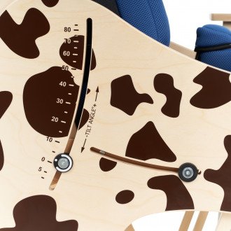 Детская комнатная кресло-коляска Akcesmed Dalmatian Invanto Dt-2 в Нижнем Новгороде