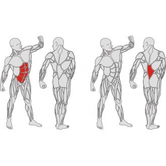 Тренажёр механотерапевтический для мышц пресса и спины Hur Rehabilitation 5310 в Нижнем Новгороде