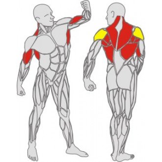 Тренажёр механотерапевтический для рук и спины Hur Rehabilitation 5175 в Нижнем Новгороде