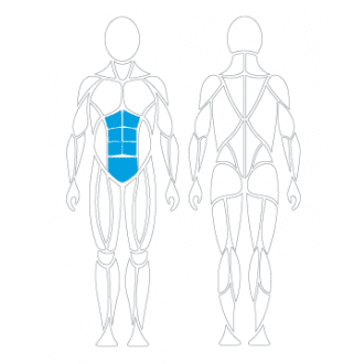 Тренажёр механотерапевтический для пресса David Abdominal Crunch G130 в Нижнем Новгороде
