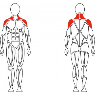 Тренажер механотерапевтический David Shoulder Concept F620 разведение рук в стороны в Нижнем Новгороде